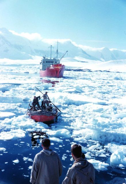 Boat from the SHACKLETON making its way through the ice at Port Lockroy Picture