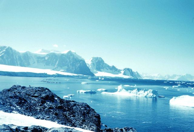 A breathtaking view from Avian Island Picture
