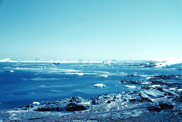 Another view from Avian Island - SHACKLETON in the distance Picture