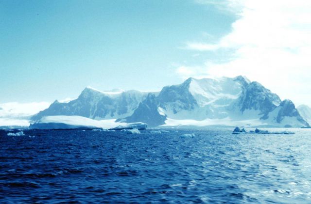 Looking ashore from Marguerite Bay Picture