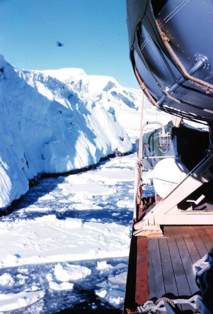 The SHACKLETON in Meek Channel, next to Argentine Island Picture