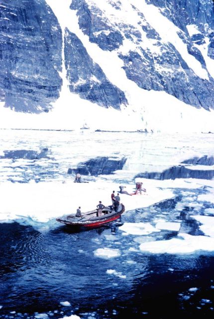 Seal hunting in Lemaire Strait. Picture