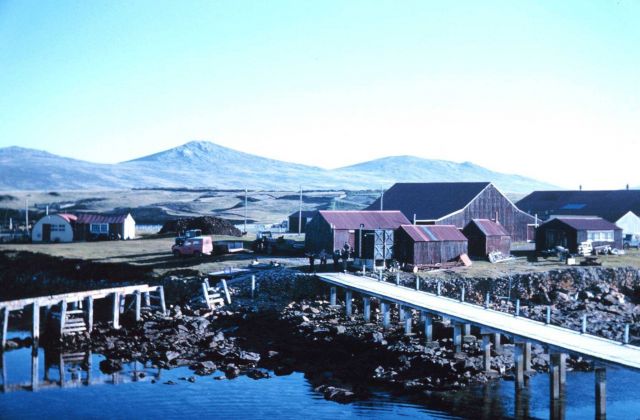 The dock at Hill Cove Picture