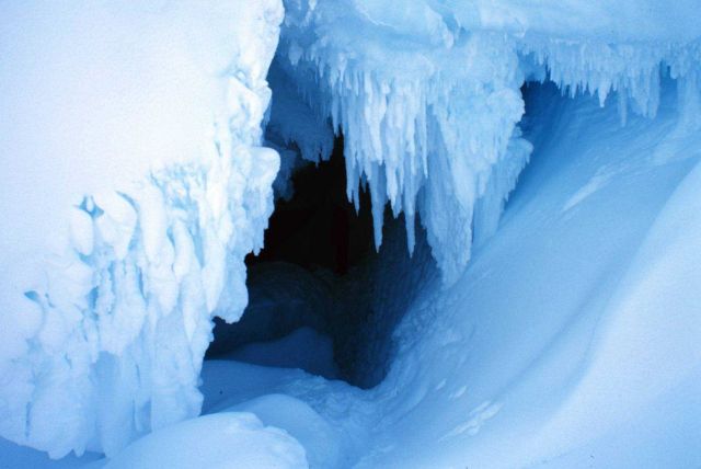 The entrance to the ice cave at Erebus Glacier tongue Picture