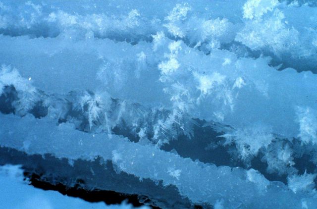Ice crystals forming Picture