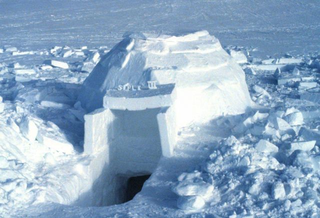 The completed shelter from the outside. Picture