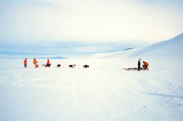 A little dog sled training was given during survival training. Picture