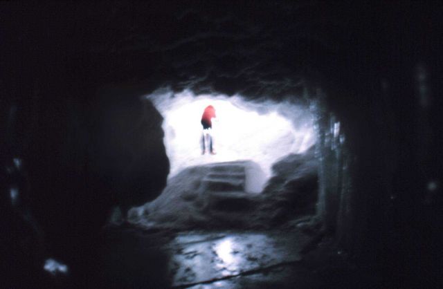 The view from the inside looking out of the cave. Picture