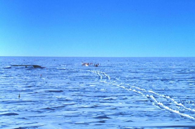 The view of the South Pole and the Antarctic Plateau from the station Picture