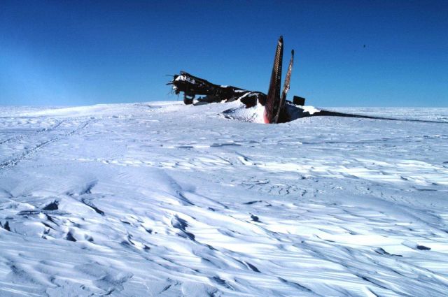 A cargo plane that didn't quite make it. Picture