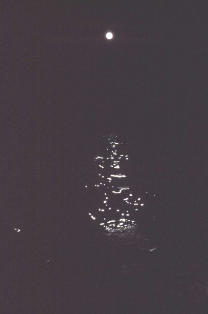 Moon beams on the water. Picture