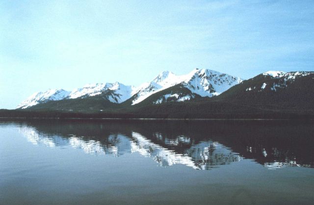 Reflections on a still morning Picture