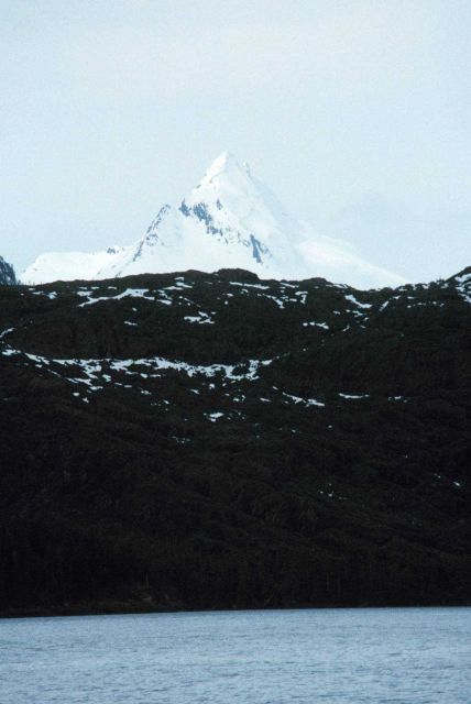 Devils Paw in Frederick Sound area Picture