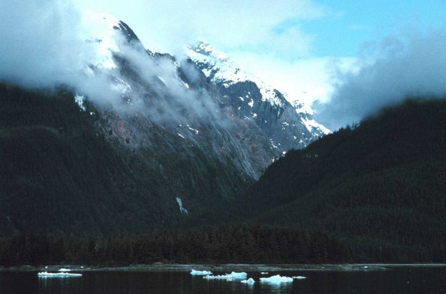 In Tracy Arm Picture