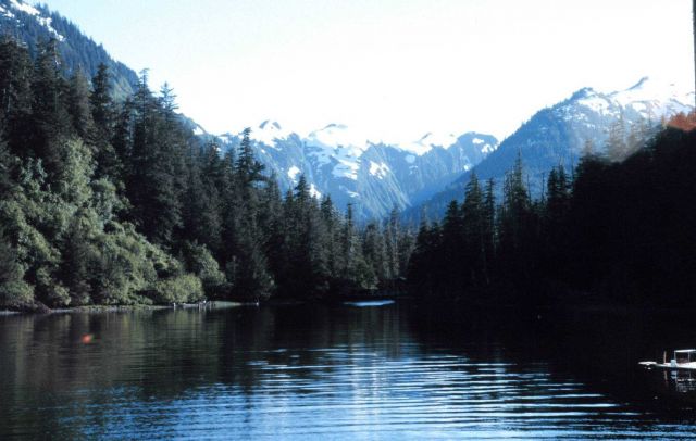 Little Port Walter Picture