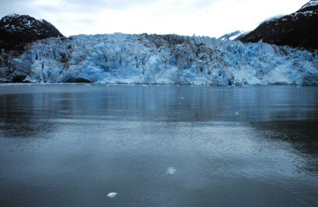 Glacier Bay - Reid Glacier Picture