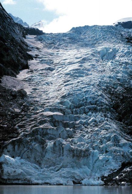 Clark Glacier - Johns Hopkins Inlet Picture