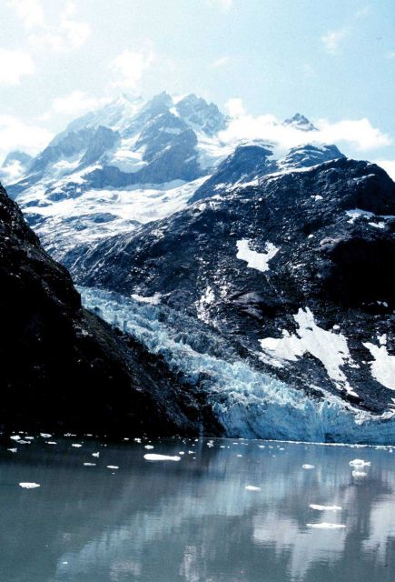 Clark Glacier - Johns Hopkins Inlet Picture