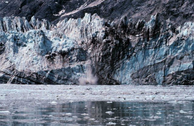 Glacier Bay - Johns Hopkins glacier calving Picture