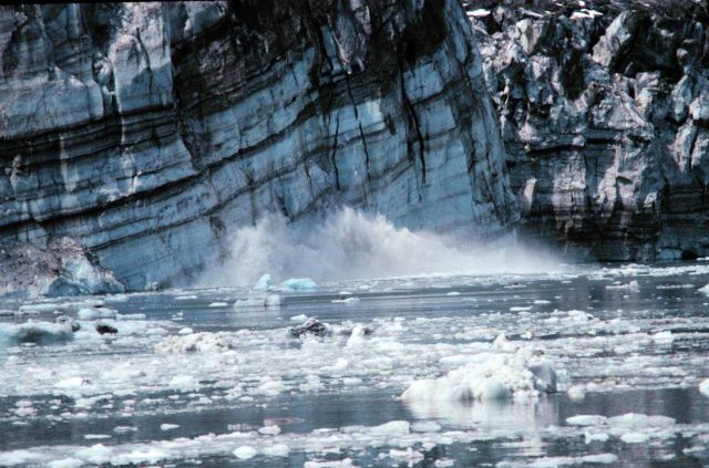 Glacier Bay - Johns Hopkins glacier calving Picture