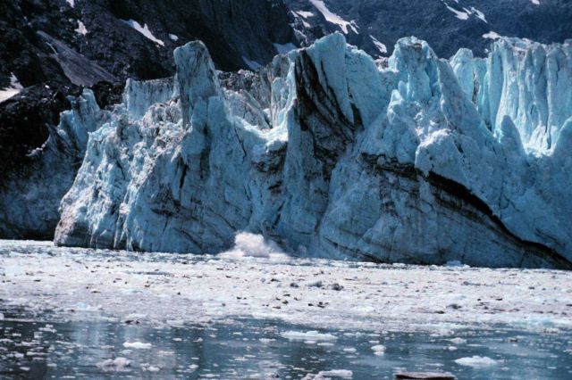 Glacier Bay - Johns Hopkins glacier calving Picture