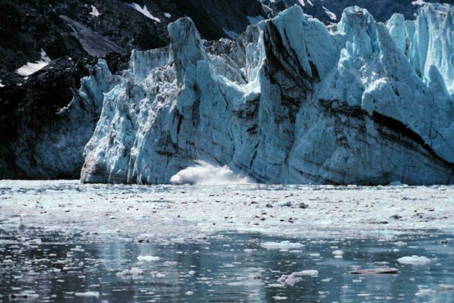 Glacier Bay - Johns Hopkins glacier calving Picture