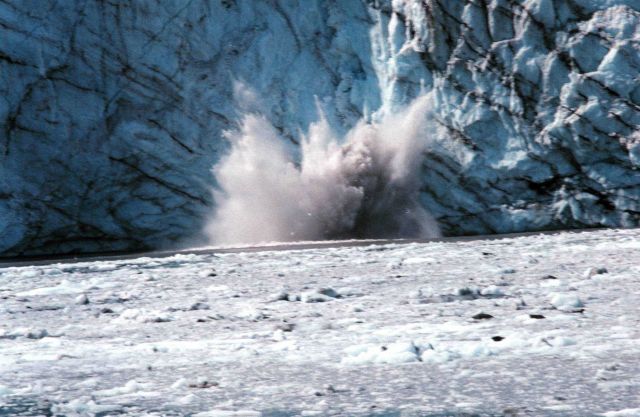 Glacier Bay - Johns Hopkins glacier calving Picture