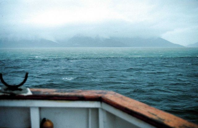 Current line between greenish glacial meltwater and seawater Picture