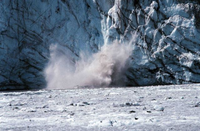 Glacier Bay -Johns Hopkins Glacier calving Picture