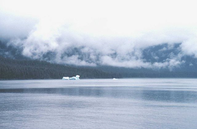 Small bergy bits the size of houses being released from Tracy Arm Picture