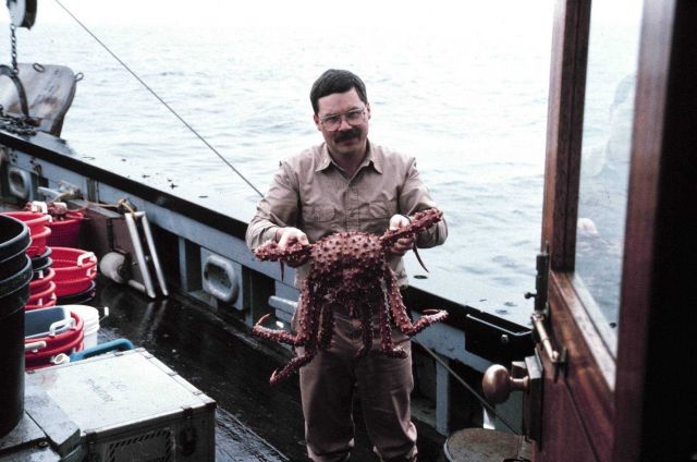 King crab caught in trawl net in Chatham Strait Picture