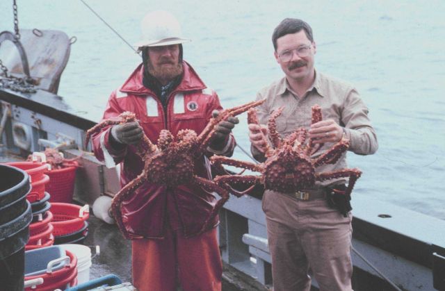 King crab caught in trawl net in Chatham Strait Picture