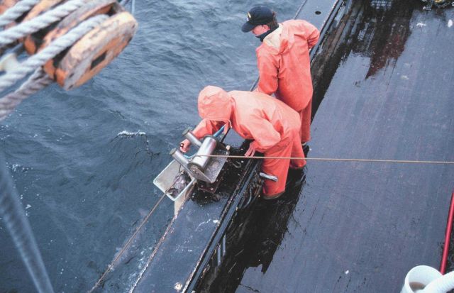 Hauling longline - netting a sablefish - note large fish in water Picture