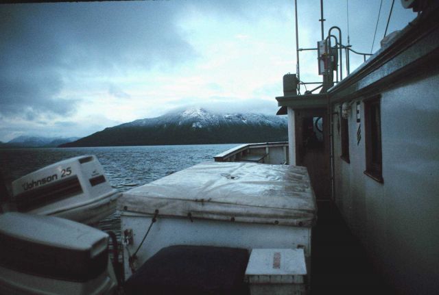 First fall snow in Alaska - time to head south Picture