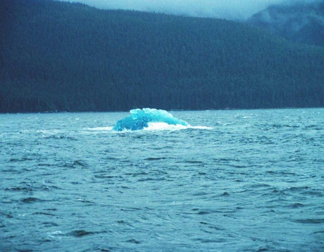 Blue ice from Tracy Arm - about the size of a house Picture