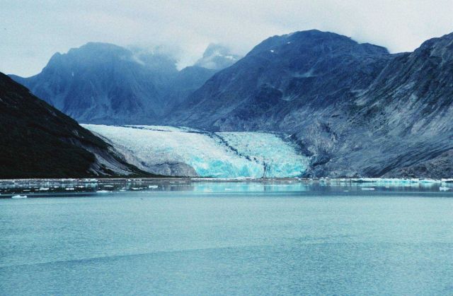 Riggs Glacier at the east end of Muir Inlet Picture