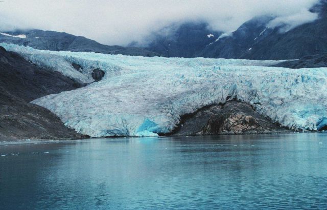 Riggs Glacier at the east end of Muir Inlet Picture