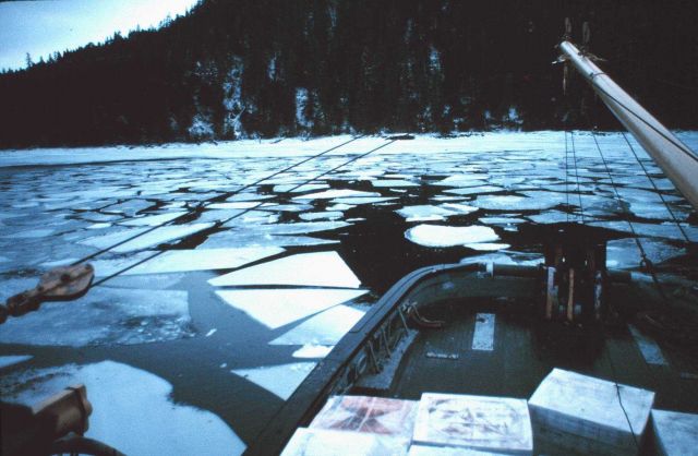 Breaking ice to moor in Little Port Walter in January. Picture