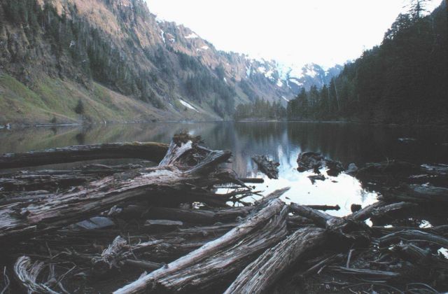 A mountain lake loaded with rainbow trout - 2 miles up the trail from Little Port Walter. Picture