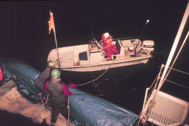 Gillnetting for smolts at night south of Douglas Island. Picture