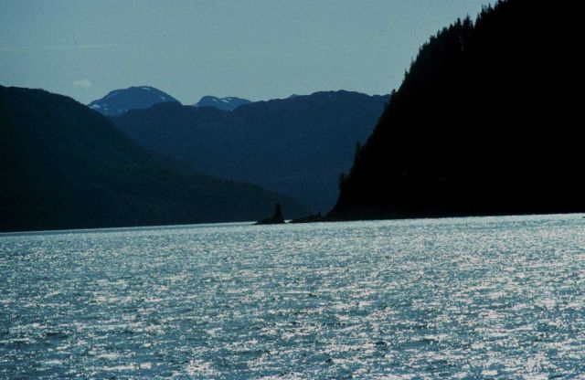 Rugged Alaska coastline - possibly Lisianski Sound. Picture