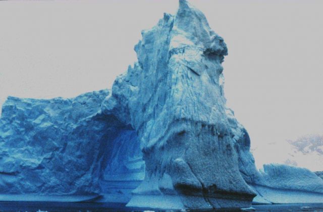 Arches in icebergs off the Antarctic Peninsula Picture
