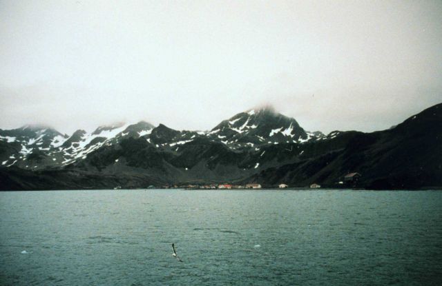 Looking towards Grytviken Picture