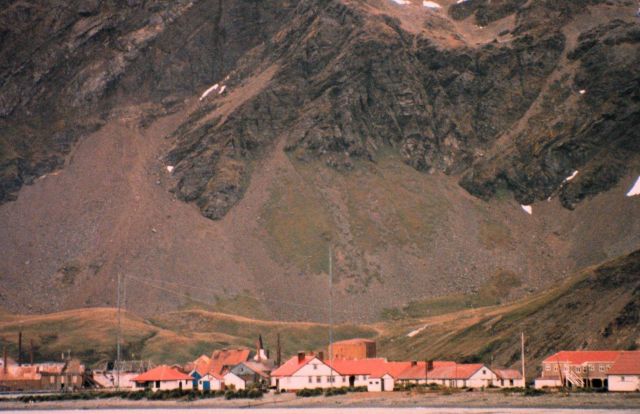 Grytviken, a whaling outpost Picture