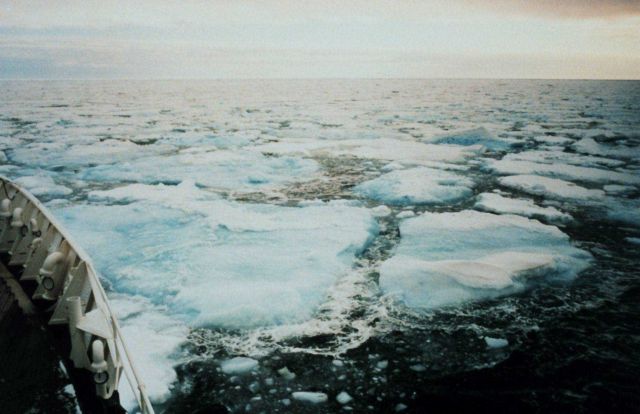Ice floes in the northern Bering Sea Picture