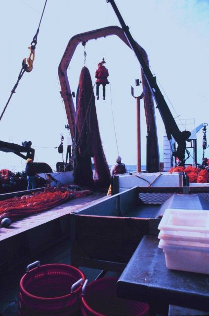 Crew of MILLER FREEMAN performing net maintenance duties Picture