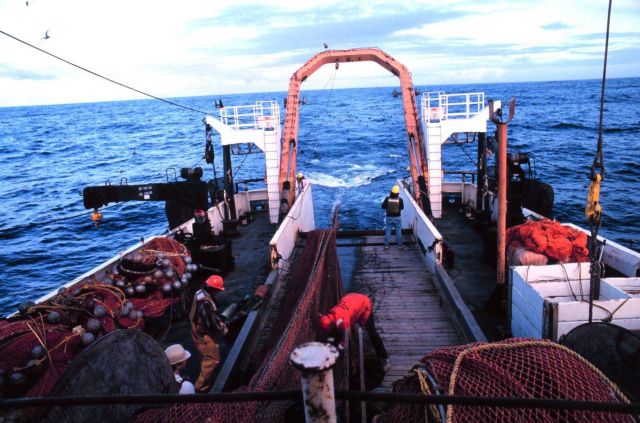 Trawling operations on the MILLER FREEMAN - hauling back the net. Picture