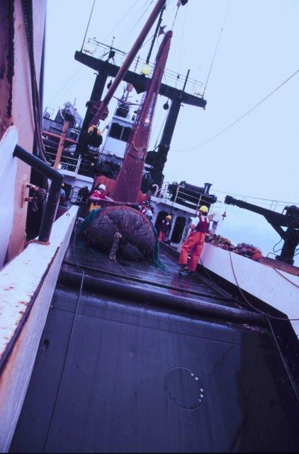 Trawling operations on the MILLER FREEMAN Picture