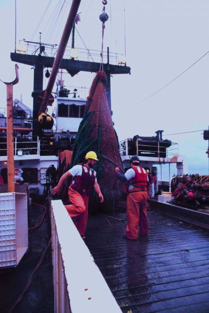 Trawling operations on the MILLER FREEMAN Picture