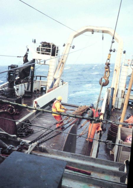 Beginning of haulback of net at the end of a trawl. Picture